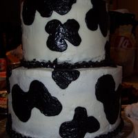 Cow Cake 1! This is all buttercream icing, made for the band at my school for a party at my boyfriend's house! It's my first ever stacked...