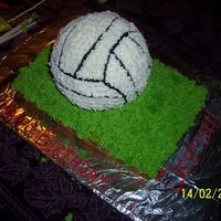 Volleyball Cake Birthday cake for my friend, who plays volleyball. Everything is cake with BC icing.