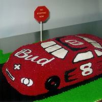 Dale Jr. Disaster I made this cake for my mom. Everything that could go wrong with it did! The red bled through the icing sheets so I had to scratch that...