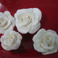 My First Roses My first try at making roses using MMF. All with the help from this website. Thanks for the great site.