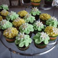 Cupcakes For An Outdoor Wedding - Very Casual buttercream designs with fondant daisy