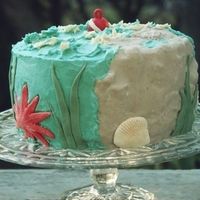 Diver Down Scuba diving and ocean cake for my husband's birthday: scratch chocolate cake with raspberry filling, buttercream icing and...