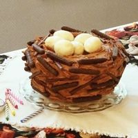 Bird Nest Cake My daughter asked for a nest cake for her 6th "Bird-Day" party. She was partial to chickens because of her pet Mrs. Cluckers. The...