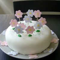 First Mmf Cake My first decorated cake and the first time making fondant. I made this cake for my sister-in-laws birthday. I got the mmf recipe from this...