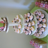 Owl Baby Shower Owl baby shower cake - girl. Buttercream with fondant decorations. Inspiration from the many owl cakes on CC.