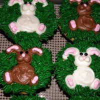 Bunny Cupcakes 