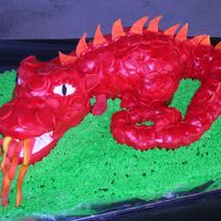 Dragon Cake This cake was inspired by the one Mamacc has on here, and lots of help from her as well! When my son saw it he had to have it for his 8th...