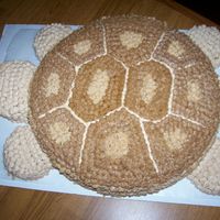 Tricky Cake This is a cake I made for a friend who's knick name is turtle. Tricky is our pet Spur Thigh and I just took the design idea from him...