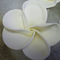 Gumpaste Plumeria here is a plumeria that I made for my friend's wedding cake (pics to come later) I was VERY please wtih the outcome, they looked even...