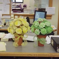 Green And Yellow Cupcake Bouquets I just really can't get enough cupcake bouquets. These were ordered for a transportation dept (bus drivers). The yellow and green are...