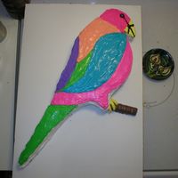 Parrot Cake I baked 2 - 13x9 cakes and put them together and cut and shaped it by hand
