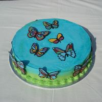 Butterflies Buttercream frosting and chocolate/candymelt decorations