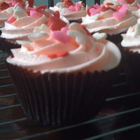 Pink Cupcakes For Friend's Birthday nothing special - 1M tip. Although I love the brown cases - I think it makes such a difference!