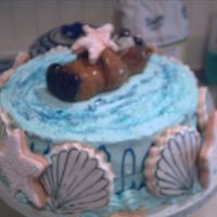 Otter Birthday Cake This is my daughters birthday cake. I told you I was a better pastry chef than decorater. It's all edible.