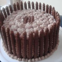 Chocolate Cake 