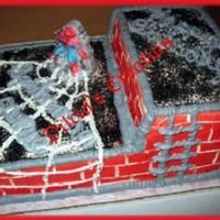 Spiderman I created this cake for a little boy's bday and he loved it. As you can see by the design of this cake, it's very easy to make...