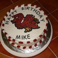 South Carolina Gamecocks 