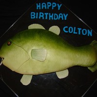 Bass Fishin'! Sculpted bass fish. Covered in MMF and then airbrushed. Scales were made using a tip at a slanted angle. Fins are gumpaste.