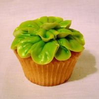 Green Begonia Cupcakes Begonia's come in green, don't they? I don't even know! Just using up left over icing (finally reached the end of it!)
