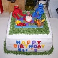 Birthday Picnic Elmo is my sons Favorite character. white and chocolate cake with BC icing. Figures are gumpaste. Thanks for the help from Liis.