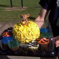 Baby Davids Cake Party at the zoo!