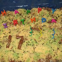 Kitty Litter Box Cake Made this for my daughter's 17th birthday.