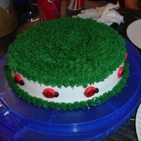 Ladybug Around Grass 