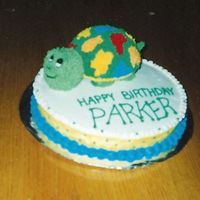 Turtle Sorry about the blurry photo. I made this cake for my son's 1st birthday. (he is 9 now) Super fun to do. Made the Turtle shell out of...
