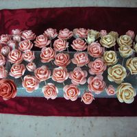 Roses My roses for Course 3 for a tiered cake the last class in that Course