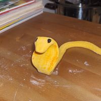 Albino Cobra not all dry yet...but took a picture anyway:)