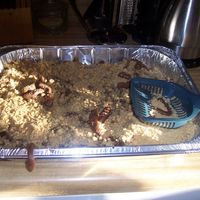 100_5307.jpg Cat litter box cake, poop made from tootsie rolls and litter was cookies crumbled up and dropped on top of iced cake