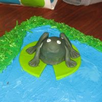 Img_0002.jpg closeup of frog that i made for my daughters birthday cake., made from hand molded rice krispie treats and covered in incing and fondant