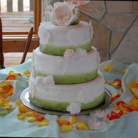 Casi's Wedding Cake This was my first wedding cake. I was OK with the final result. I was very happy with the flower on top, which I created piece by piece....