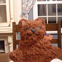 Wilton Class 1 Cake 1 This was my first attempt at a wilton 3D bear! He had a couple of major defects because he pulles a header when I pulled out of the...
