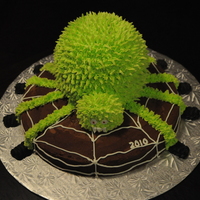 Spooky Spider chocolate 12 inch round cake base with rainbow cake for body of spider used cupcake for head and the ball cake pan for the body....