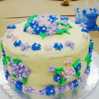 Dd's Course 1 Cake DD's (age 8 ) Course 1 final cake. She hated doing roses so she chose another cake from the course 1 booklet.