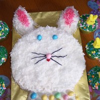 Bunny Cake My 7 year old daughter made this.