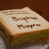 1St Communion Bible - Fondant The book was set on the of the cake... i didn't know where else to put it. =)