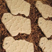 Sweet Wooley Lambs I made these sweet lil' lambs for a a baby shower a friend was throwing. I couldn't find a large wooly lamb cookie cutter...