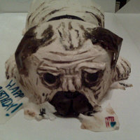 Pug Puppy Ate The Mail Father in law had a friend at the post office who's b day is 2morrow so whipped this up for him :)