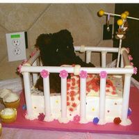 Baby Shower I made this cake for my daughters baby shower...everything is edible except the crib and the pole on the mobile. It is all buttercream...