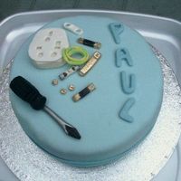 Electrician Cake chocolate cake with chocolate fudge filling and fresh strawberries, tools made with sugar paste and painted