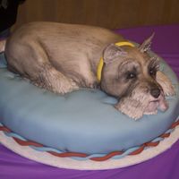 Greta This was a cake that I did for my daughter's 10th birthday. She wanted to raise money for the Humane Society and wanted a replica of...