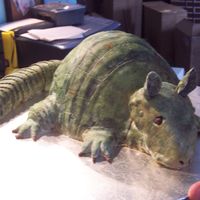 Armadillo Cake! This shaped cake has a chocolate center dyed red. The outside is made out of fondant, and was "painted" and shaded using a cake...