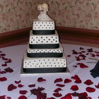 Black Polka Dots Chocolate cake with Dark Chocolate Ganache Filling. Black polka dots