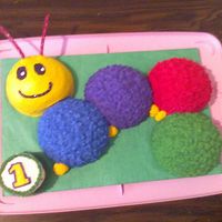 Baby Einstein Caterpillar This was my first paid cake, I charged her $40 and she gave me a $20 tip!!