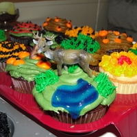 Cole's 11Th Birthday 