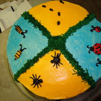 Jevon's Bug Cake-5 Years 