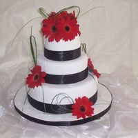 Churr_009.jpg 3 tier chocolate mud cake covered with choc ganache then covered in rolled white icing.Fresh Gerberas and bear grass.