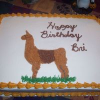 Llama This was my first llama.. A lady from church wanted it for her neighbor, she was turning 13 and she raises llamas.. It was a challange but...